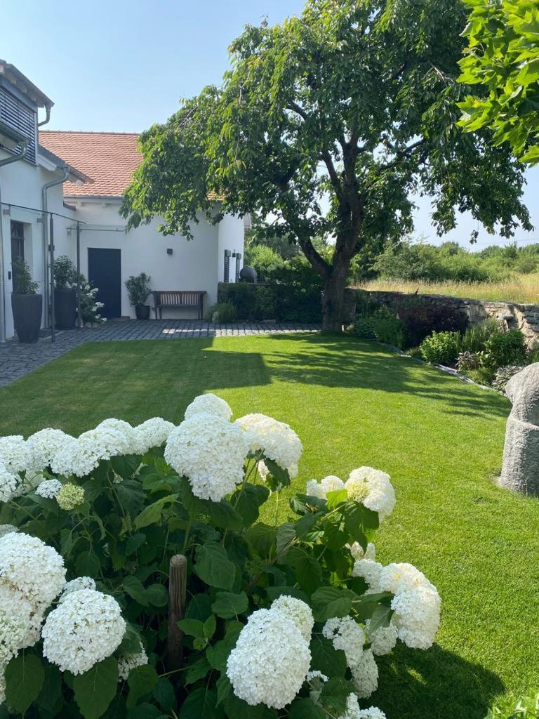 Colle Divino Lägenhet Würzburg Exteriör bild